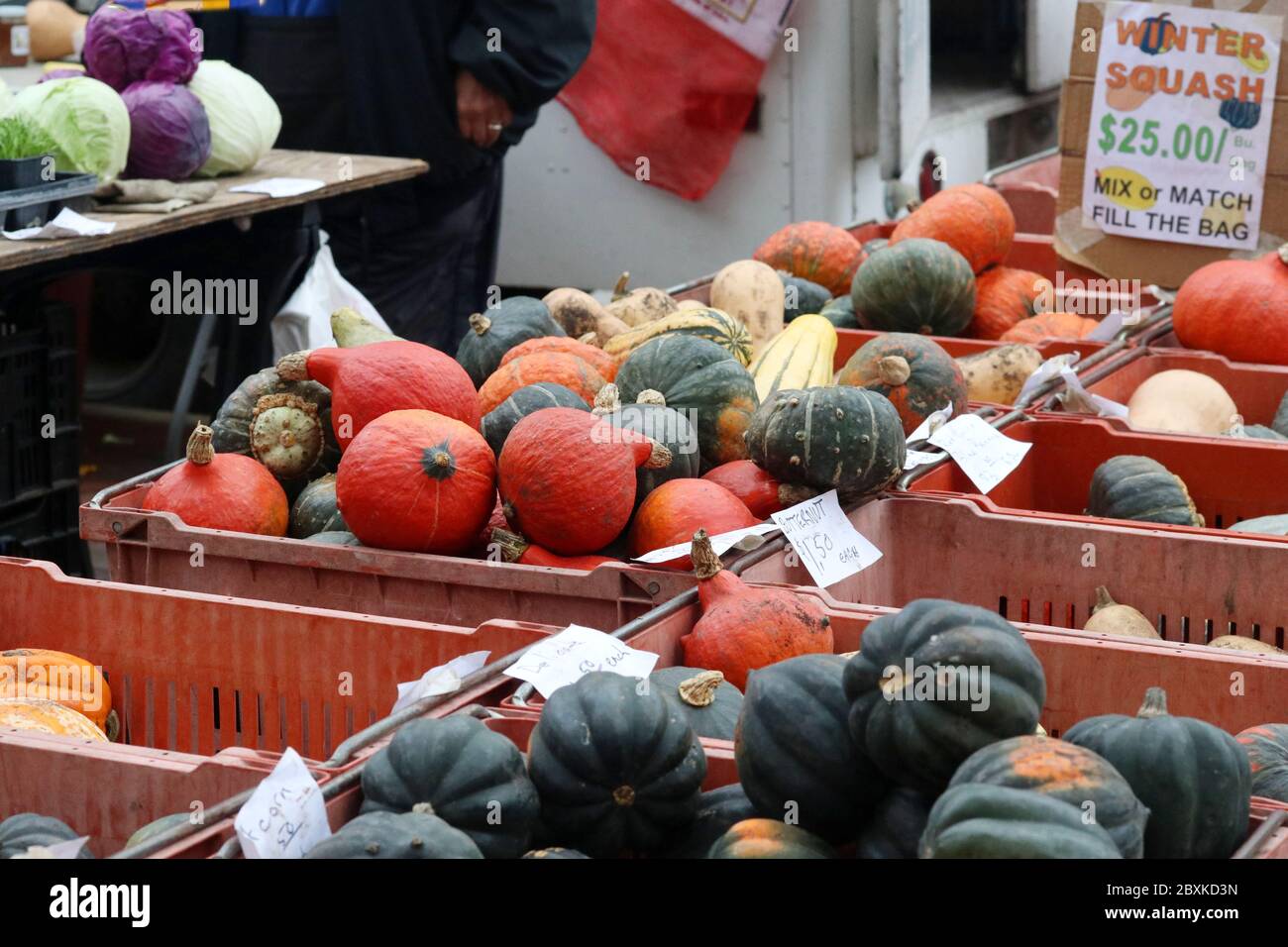 Colorati squadroni invernali in vendita in scatole al mercato agricolo stagionale autunno. Agricoltura, agricoltura e piccole imprese background. Concetto di raccolto. Foto Stock