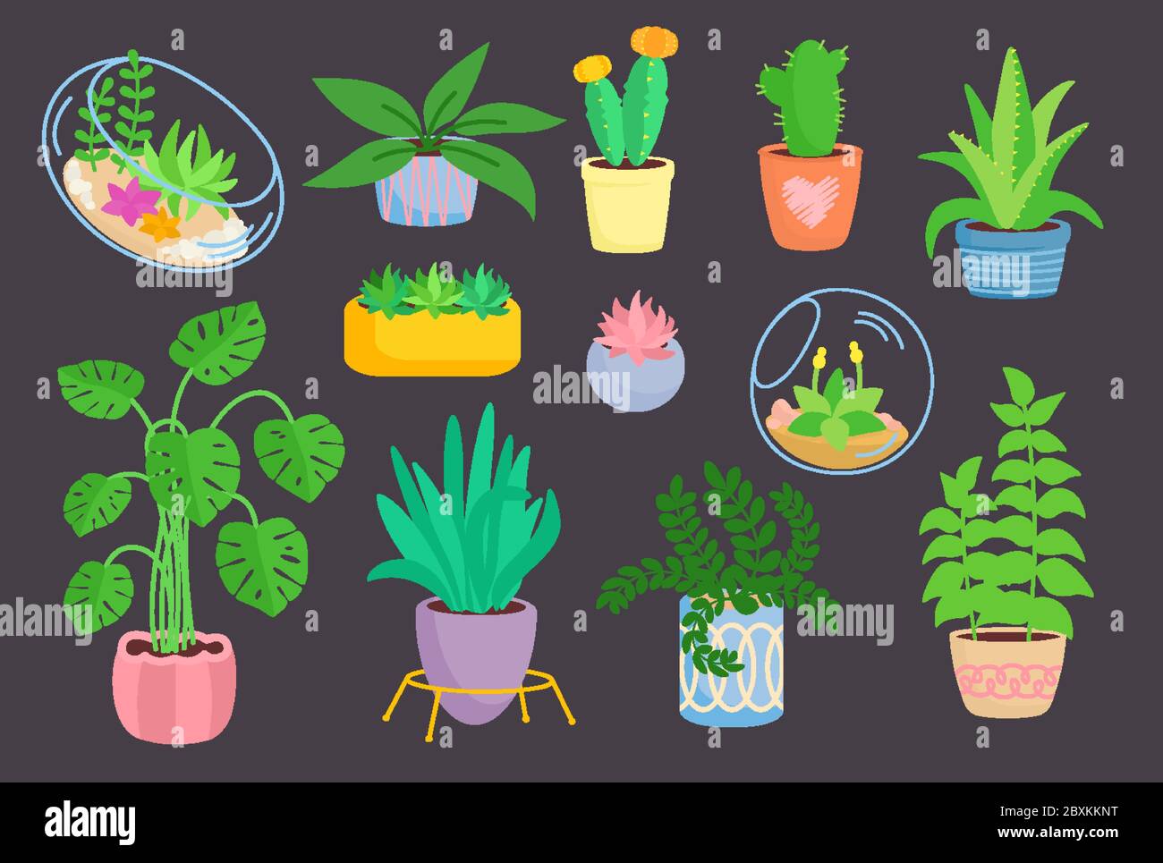 Casa pianta interna, set in ceramica in vaso, piatto cartoon fiore. Succulenti in florarium, cactus, collezione di piante per la casa. Germogli verdi in vaso. Illustrazione vettoriale isolata su sfondo scuro Illustrazione Vettoriale
