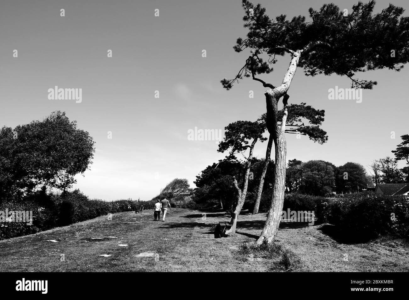 Coppia a piedi lungo la passeggiata Turf Walk Totland Bay con alberi alti Foto Stock