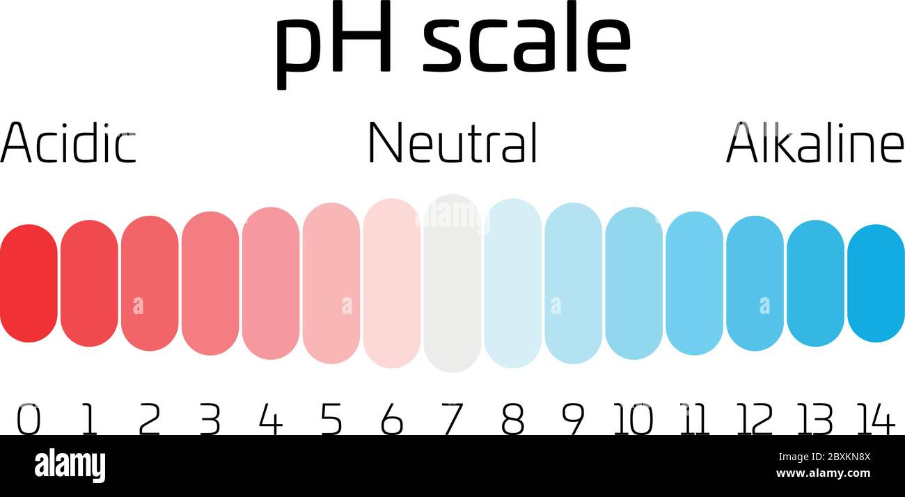 Scala pH. Indicatore del valore del pH che esprime il tasso di acidità o basicità in chimica. Illustrazione Vettoriale