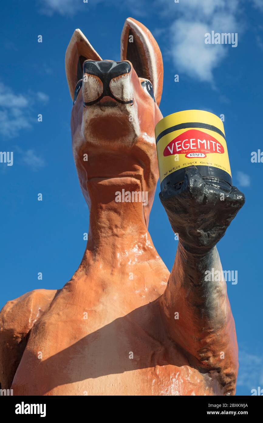SA WA frontiera che attraversa l'Australia del Sud 14 settembre 2019 : scultura di due icone australiane, un canguro rosso che tiene un vaso di Vegemite sparso al Foto Stock