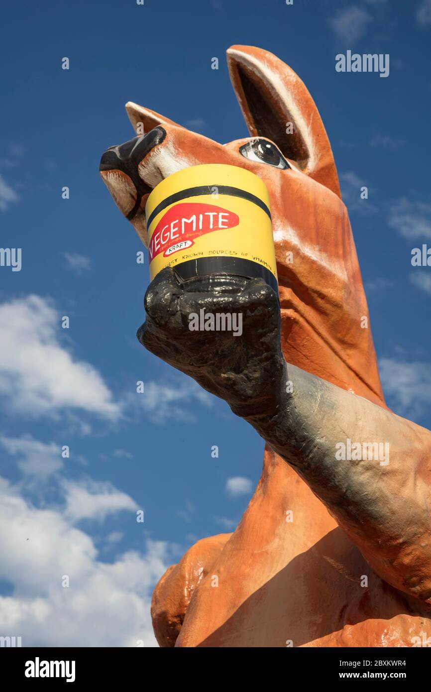 SA WA frontiera che attraversa l'Australia del Sud 14 settembre 2019 : scultura di due icone australiane, un canguro rosso che tiene un vaso di Vegemite sparso al Foto Stock