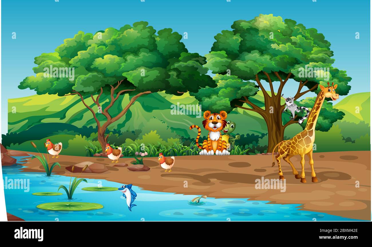 gli animali giocano sulla riva del fiume nella foresta Illustrazione Vettoriale