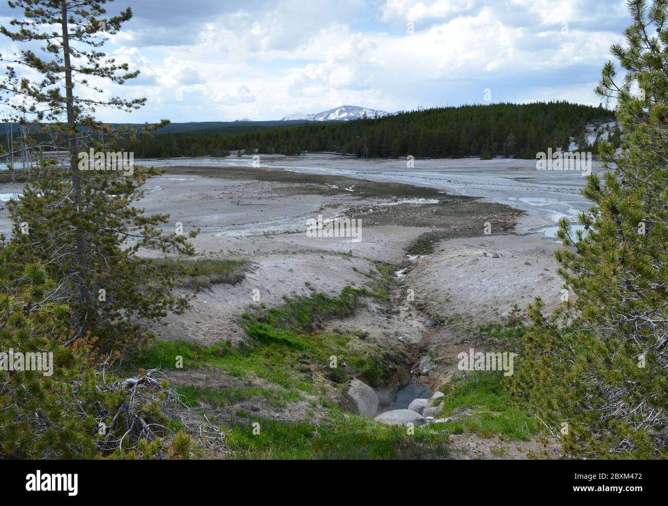 Primavera nel Parco Nazionale di Yellowstone: Basin Geyser nel primo piano del bacino del Norris Geyser con il Monte Holmes della Gallatin Range in lontananza Foto Stock