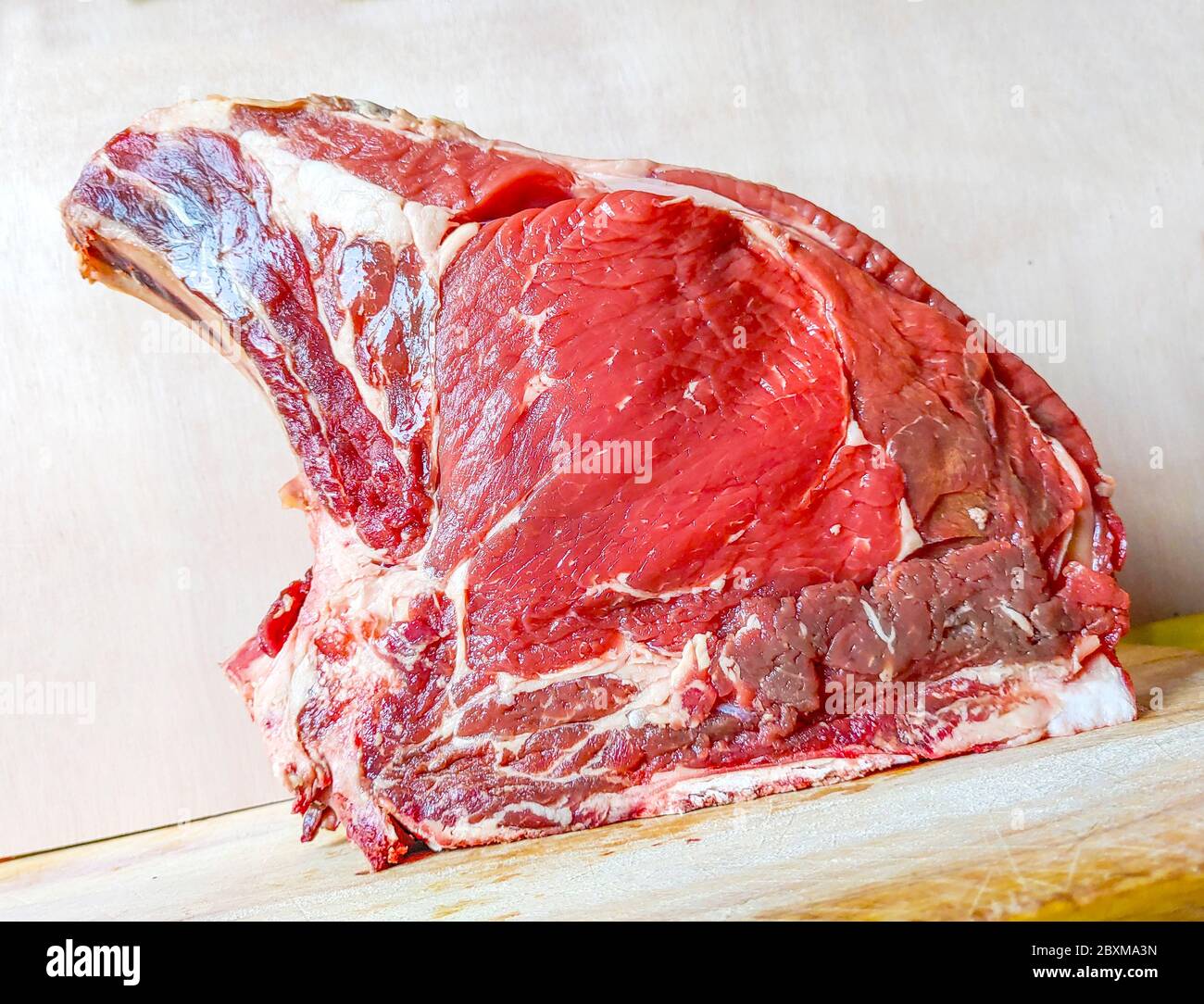 Bistecca di manzo alle ossa, ben stagionata, pronta per il vostro barbecue e pranzo, bistecca fiorentina, proteine per la vostra salute Foto Stock