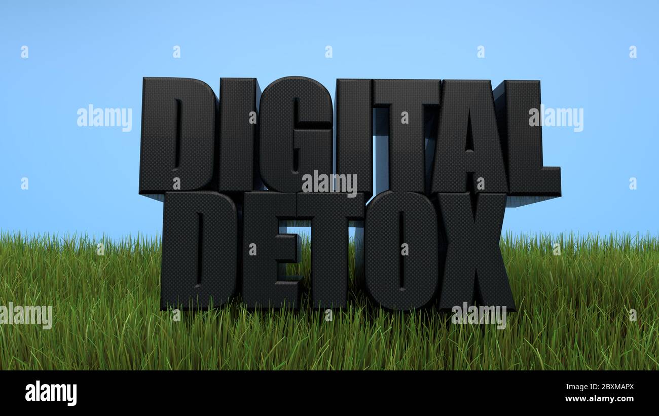 Scritta nera Detox digitale in erba su sfondo blu. rendering 3d Foto Stock