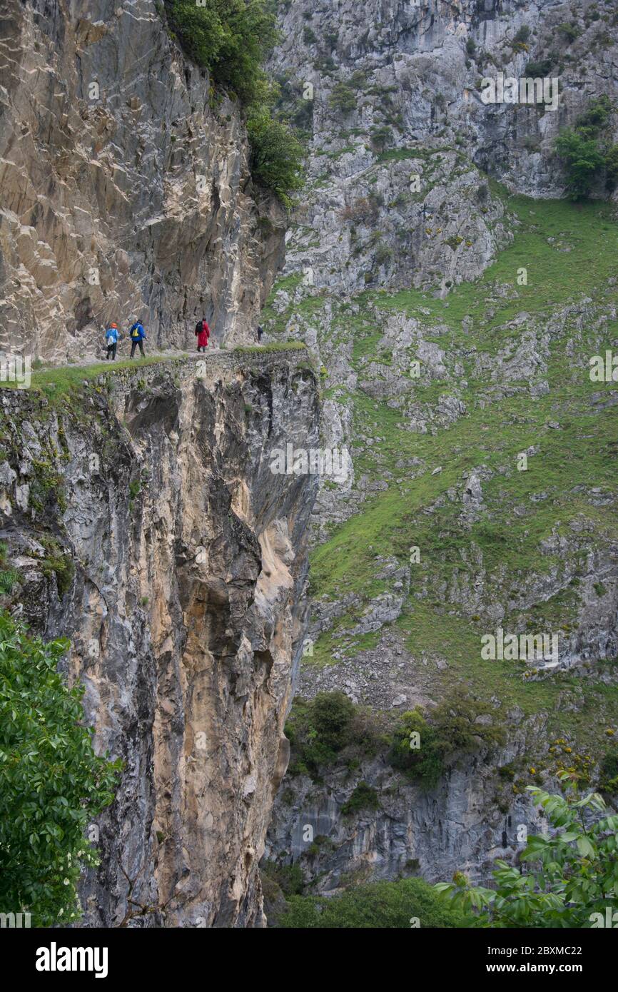 Die Cares-Schlucht, eine der Hauptattraktionen des Nationalparks Picos de Europa Foto Stock