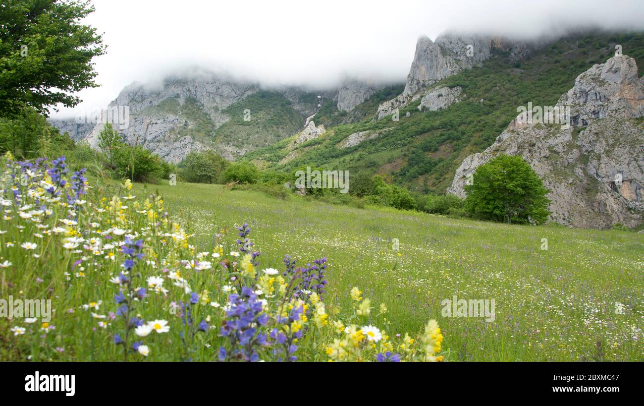 Die Cares-Schlucht, eine der Hauptattraktionen des Nationalparks Picos de Europa Foto Stock
