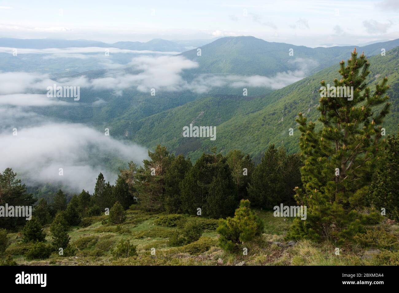 Morgendlicher Weitblick vom col de la Cirere über die Pyrenäen Auf dem GR 10 Foto Stock