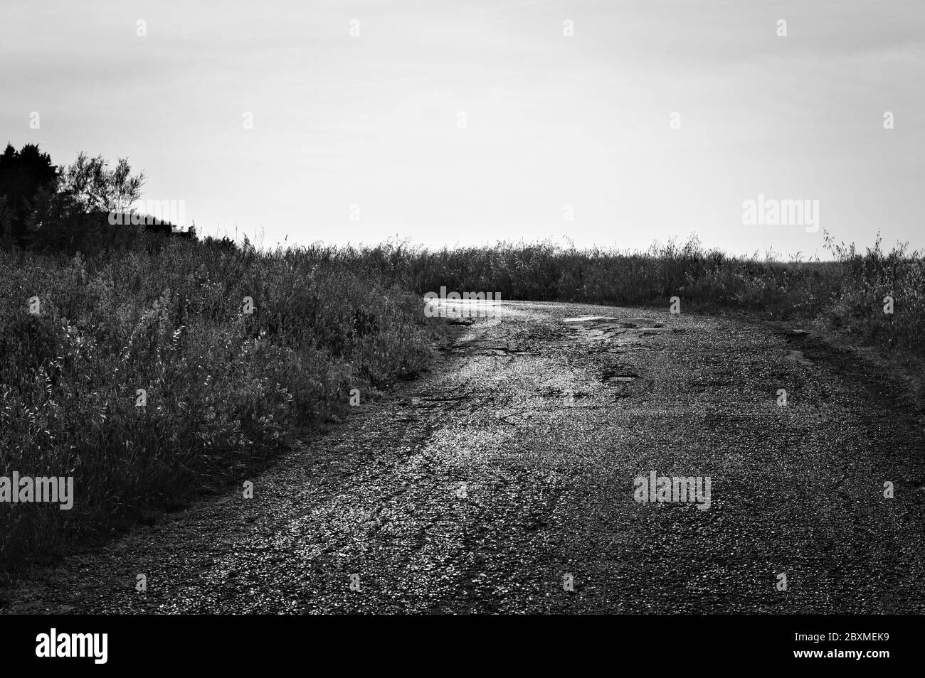 Strada asfaltata di campagna che brilla al tramonto (Pesaro, Italia, Europa) Foto Stock