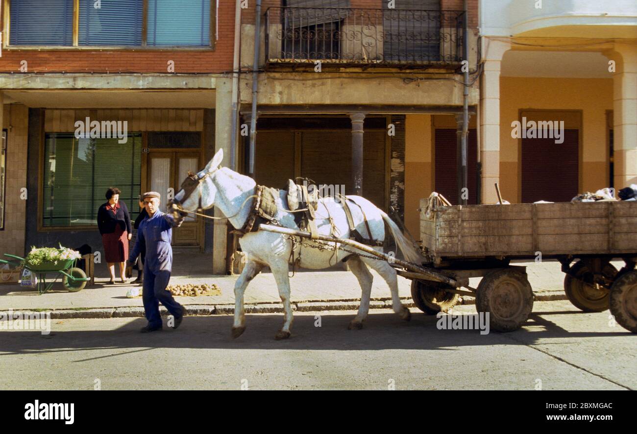 Sahagun, Castiglia e Leon, Spagna Foto Stock