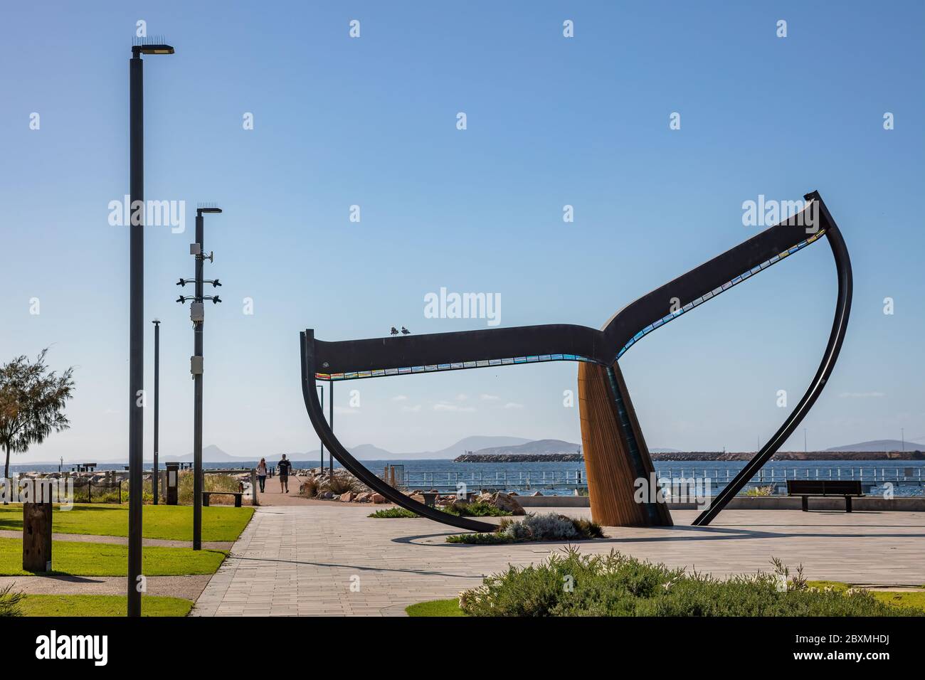 Esperance Australia Occidentale 14 Novembre 2019 : scultura coda di balene in Esperance Australia Occidentale Foto Stock