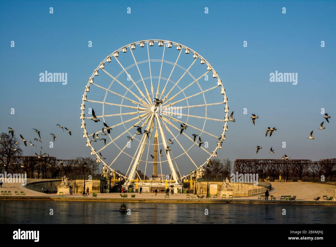 Ruota panoramica, giardini Jardin des Tuileries, Ile-de-France, Parigi, Francia Foto Stock