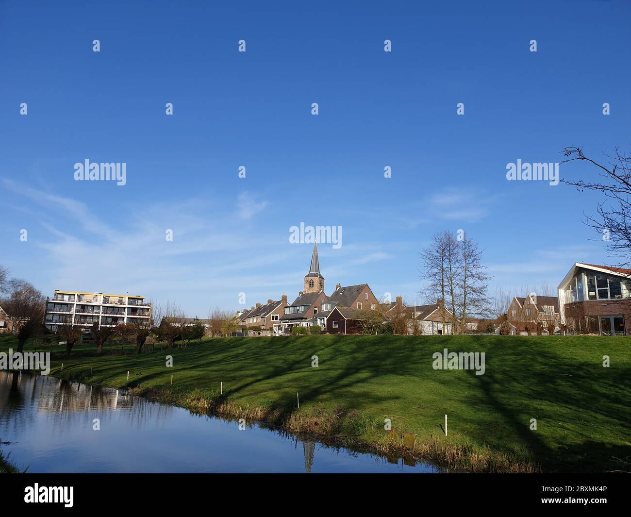 Magnolia stellata, talvolta chiamata la stella magnolia con fiori bianchi in un giardino a Nieuwerkerk aan den IJssel Foto Stock