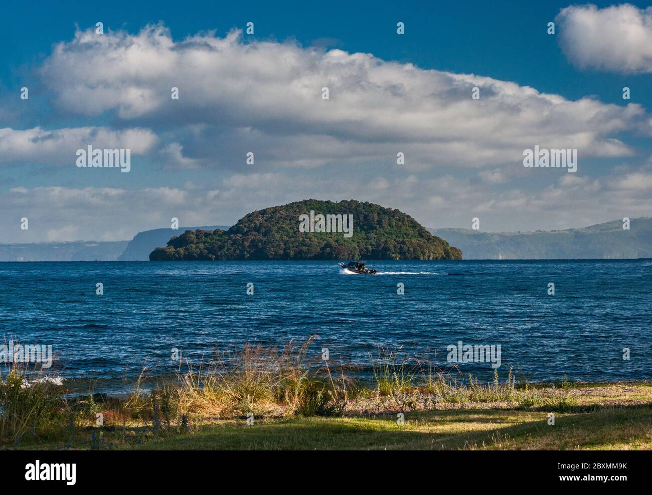 Isola di Motutaiko al Lago Taupo, Plateau Centrale, Regione di Waikato, Isola del Nord, Nuova Zelanda Foto Stock