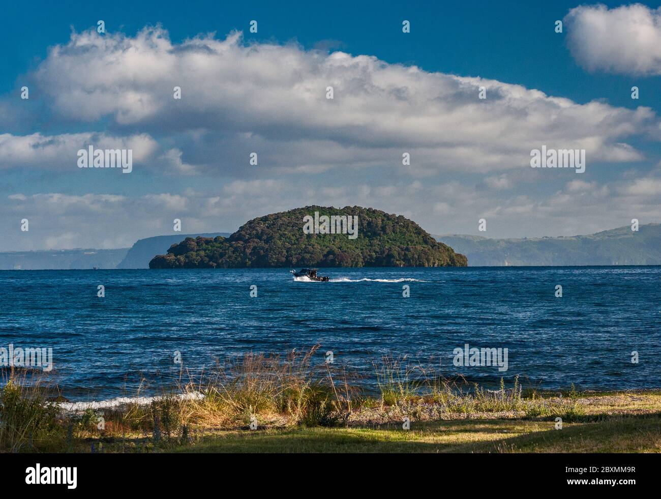 Isola di Motutaiko al Lago Taupo, Plateau Centrale, Regione di Waikato, Isola del Nord, Nuova Zelanda Foto Stock