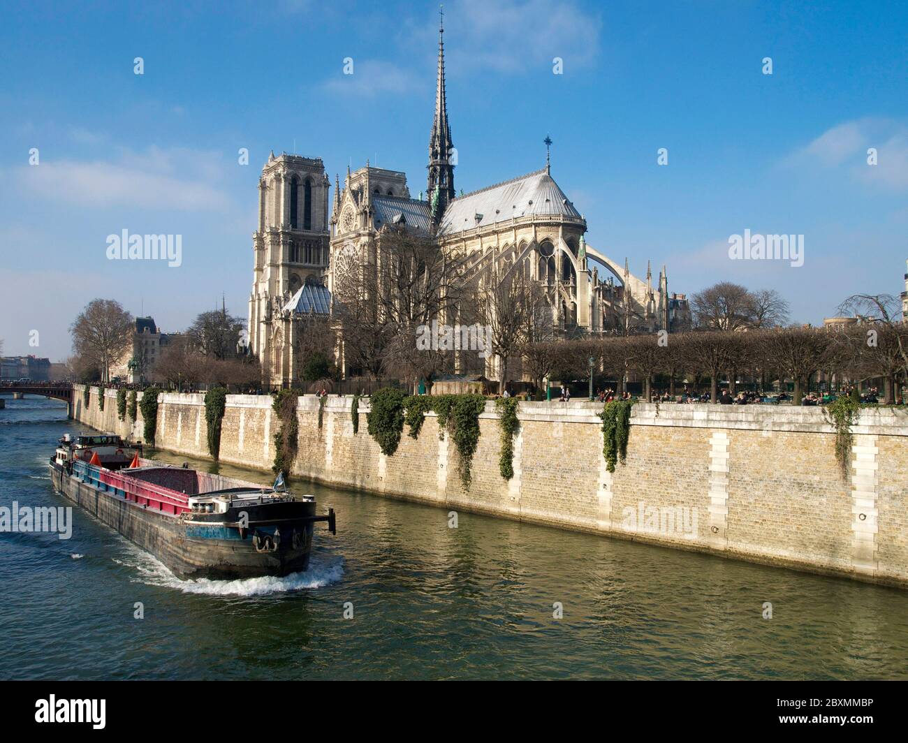 La cattedrale di Notre Dame, Paris, Francia, Europa Foto Stock