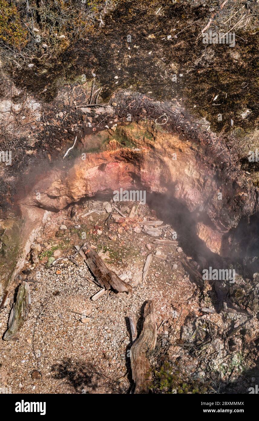 Sfiato a vapore presso i Craters of the Moon Thermal Area, Waikato Region, North Island, New Zealand Foto Stock