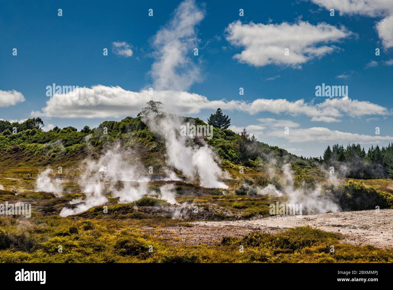 Campo di fumarole presso i Craters of the Moon Thermal Area, Waikato Region, North Island, New Zealand Foto Stock