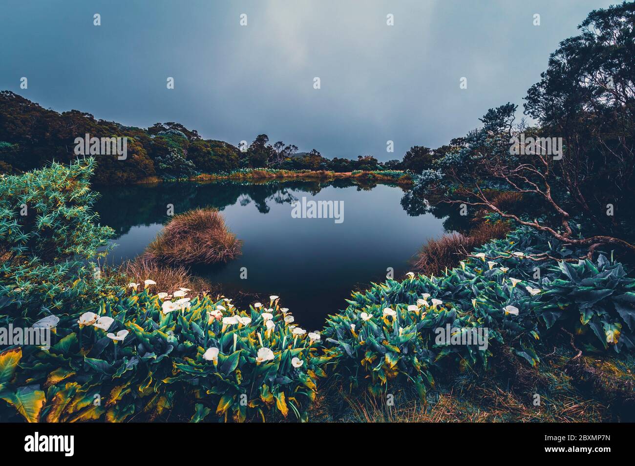 Il Piton de l'Eau è un piccolo cono vulcanico sull'isola di la Réunion scolpito da un cratere vulcanico che ospita un lago cratere tutto l'anno Foto Stock