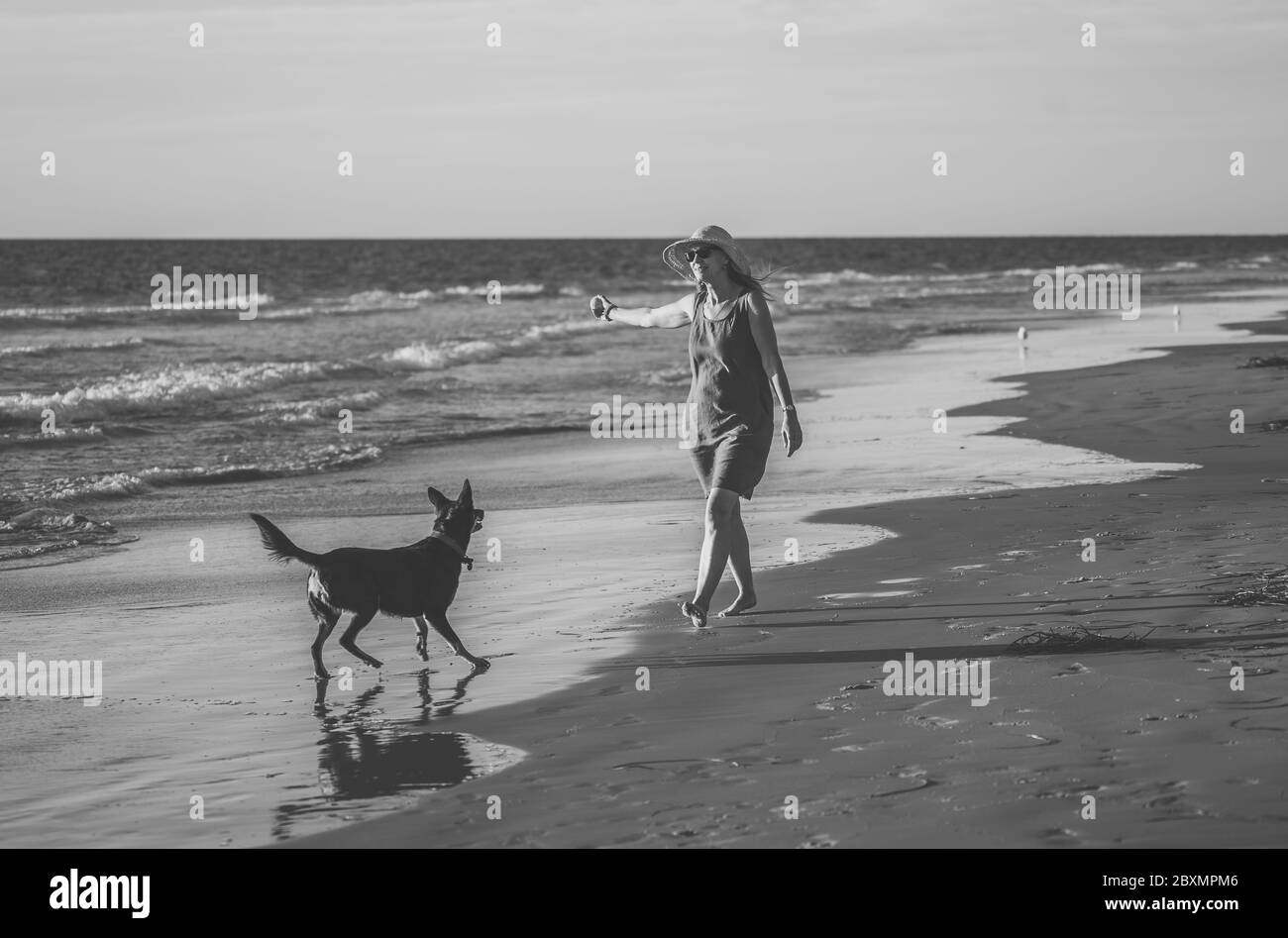 Bella donna in pensione matura e cane animale domestico che cammina insieme su una spiaggia vuota e remota. In esterni esercitare la speranza e tornare alla nuova vita normale dopo Coronav Foto Stock