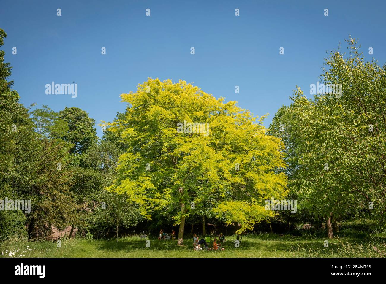 Southover Grange Gardens, Lewes, East Sussex, Regno Unito Foto Stock