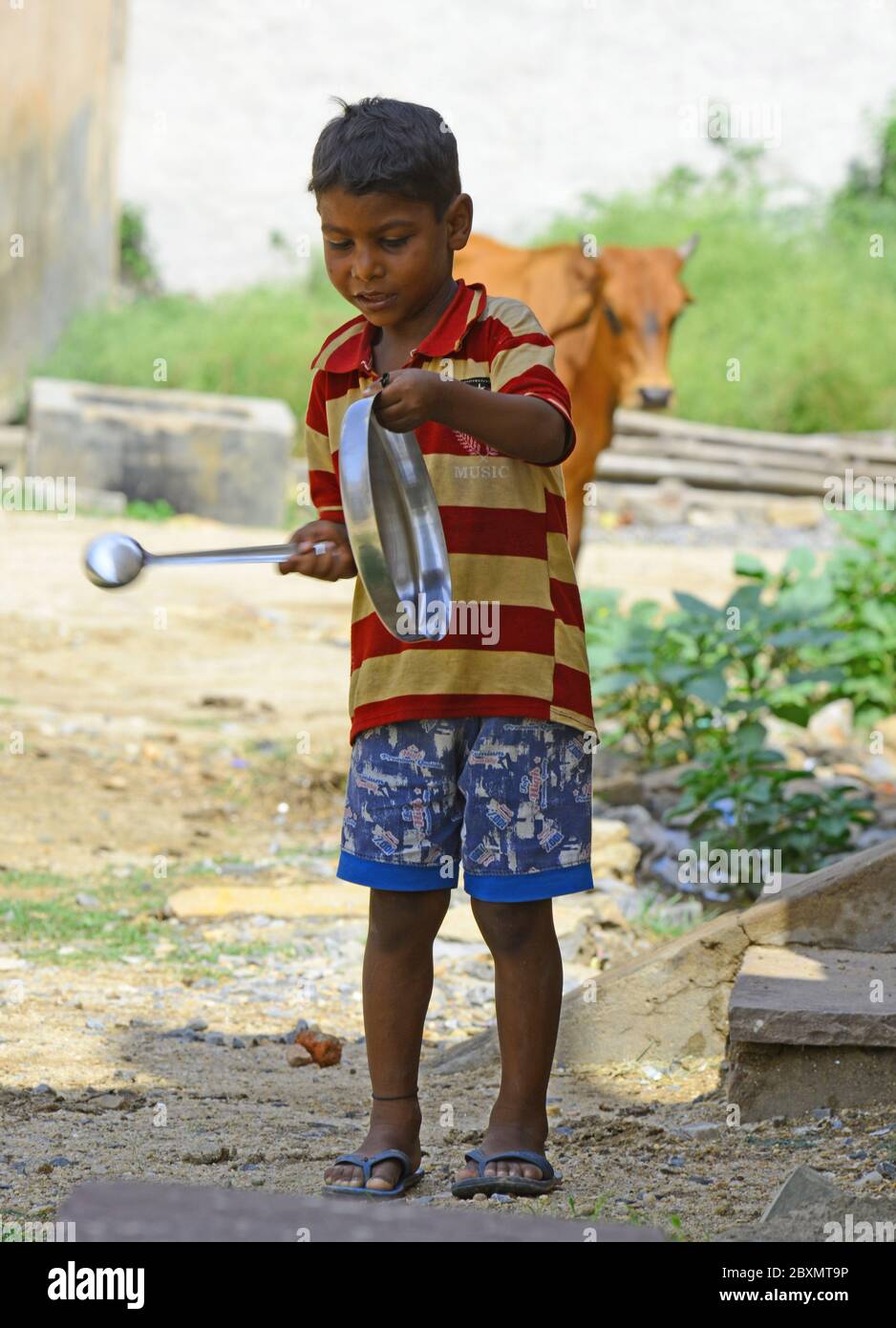 Beawar, Rajasthan, India - 8 giugno 2020: Un bambino gioca utensili per allontanare un sciame di locuste a Beawar. Le locuste che arrivano dal vicino Pakistan minacciano i mezzi di sostentamento degli agricoltori locali e degli allevatori di bestiame nel Rajasthan. Credit: Sumit Saraswat/Alamy Live News Foto Stock