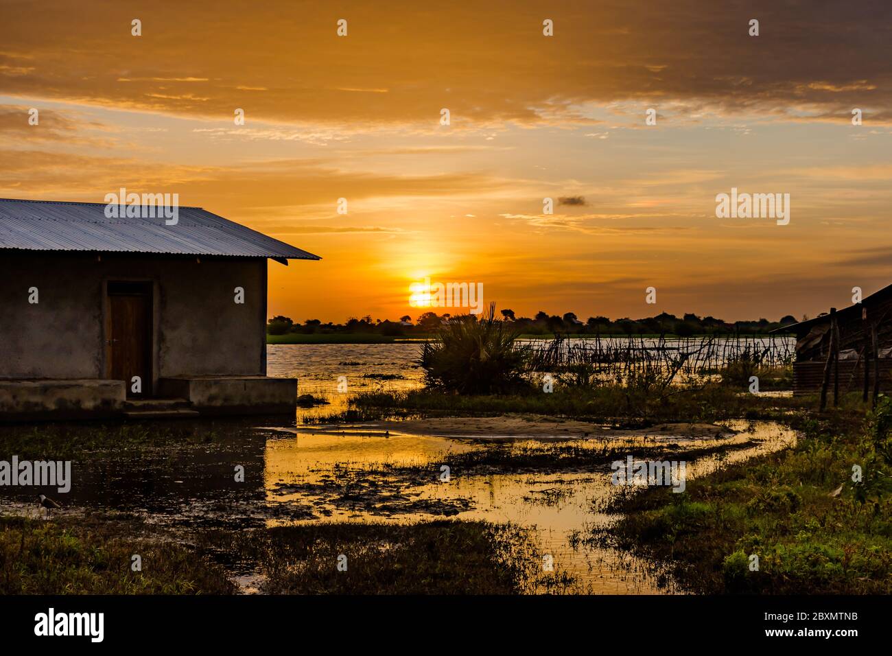 Tramonto sul delta del Tana Foto Stock