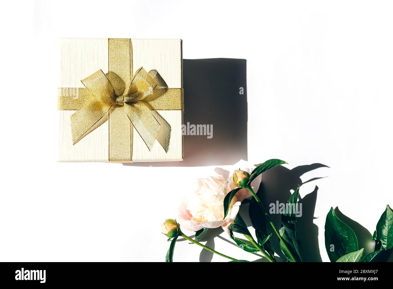 Bel bouquet di peonie e una scatola bianca con un arco giallo su sfondo bianco, peonie fiorite Foto Stock