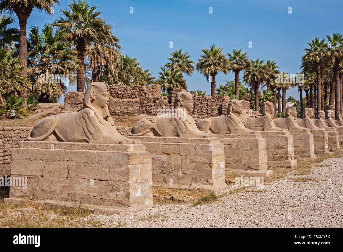 Antico viale egiziano di sfingi contro sfondo blu cielo al tempio di Luxor Foto Stock