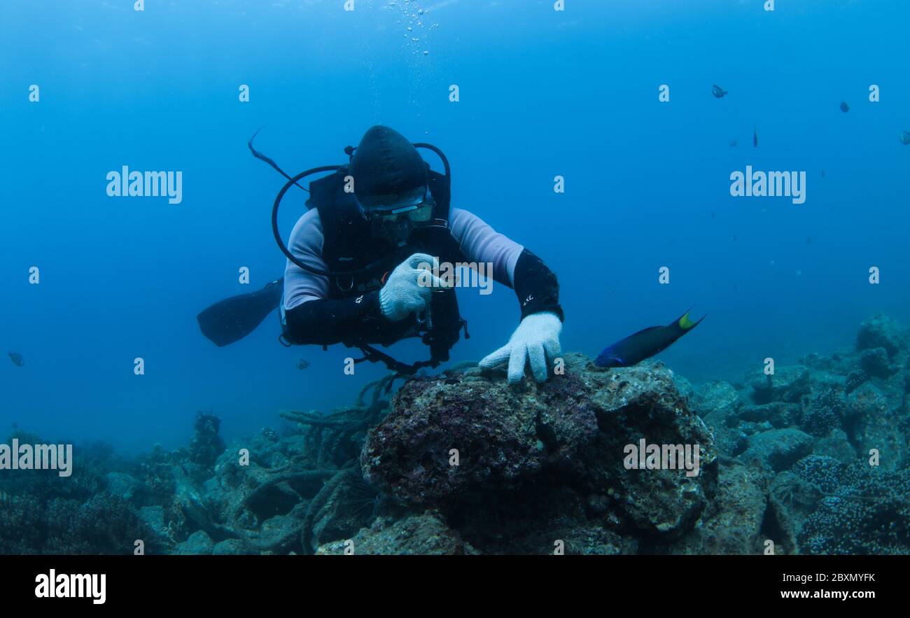 (200608) -- HAIKOU, 8 giugno 2020 (Xinhua) -- un membro del personale pattugliò in un ranch marino nella zona marina dell'isola di Wuzhizhou a Sanya, provincia cinese meridionale di Hainan, 28 marzo 2020. Il ranch marino nell'area marina dell'Isola di Wuzhizhou a Sanya è il primo ranch marino tropicale della Cina. Negli ultimi anni, il ranch marino ha successivamente effettuato la posa artificiale della barriera corallina, il restauro dell'ambiente marino e il trapianto di corallo, promuovendo gradualmente la protezione e il ripristino dell'ecosistema marino. Entro la fine del 2019, un totale di 1,526 barriere coralline artificiali di vario tipo, 21 scogli da nave Foto Stock