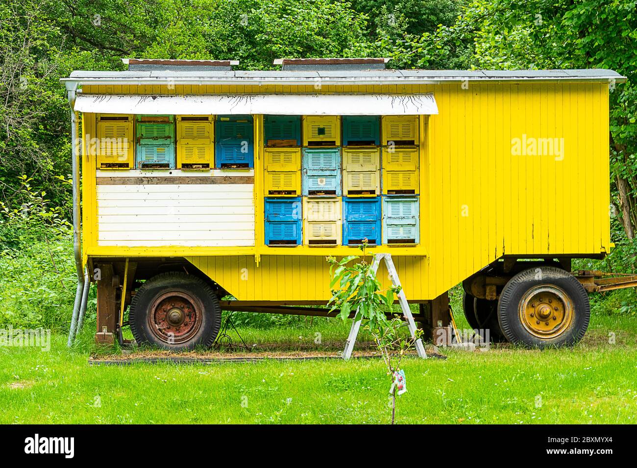 Mobile Hive situato in Germania, Brandeburgo Foto Stock