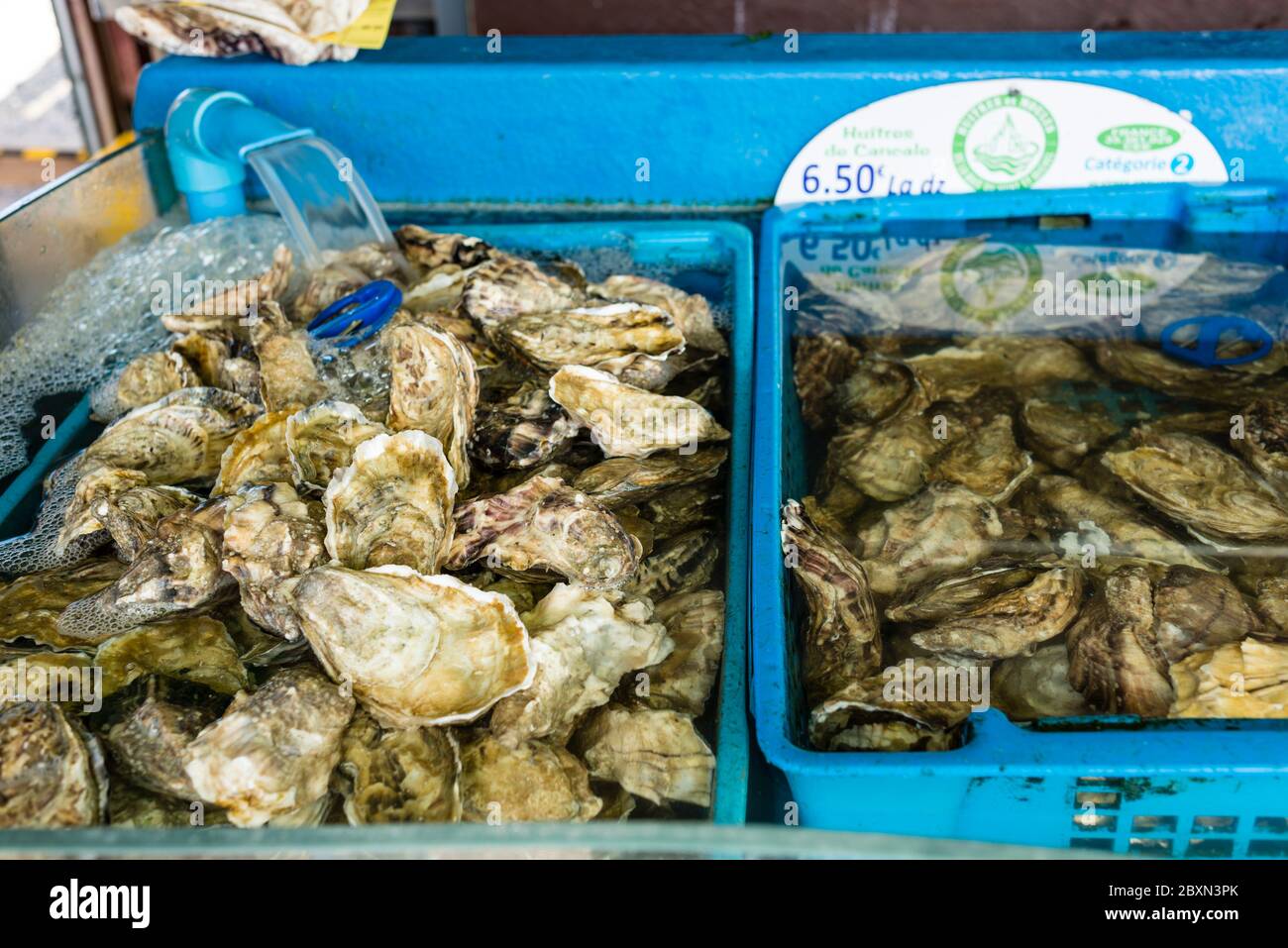 Ostriche in offerta nel ristorante, le Vivier sur Mer, Bretagna, Francia Foto Stock