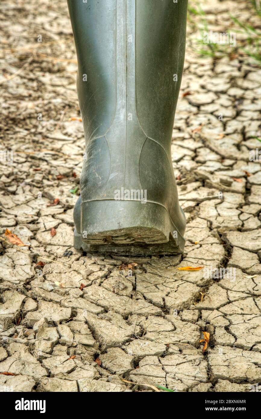 L'impronta ecologica dell'agricoltura industriale. Foto Stock