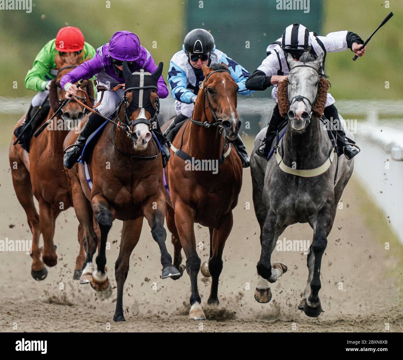 Thomas Greatrex a cavallo del ragazzo di Atalanta (viola) vince l'handicap verde Howe all'ippodromo di Chelmsford. Foto Stock
