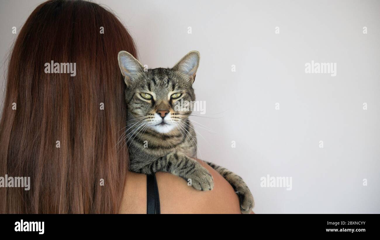 La donna tiene il gatto sopra la spalla. Il gatto guarda direttamente nella  fotocamera. Spazio negativo. Spazio di copia per il testo Foto stock - Alamy