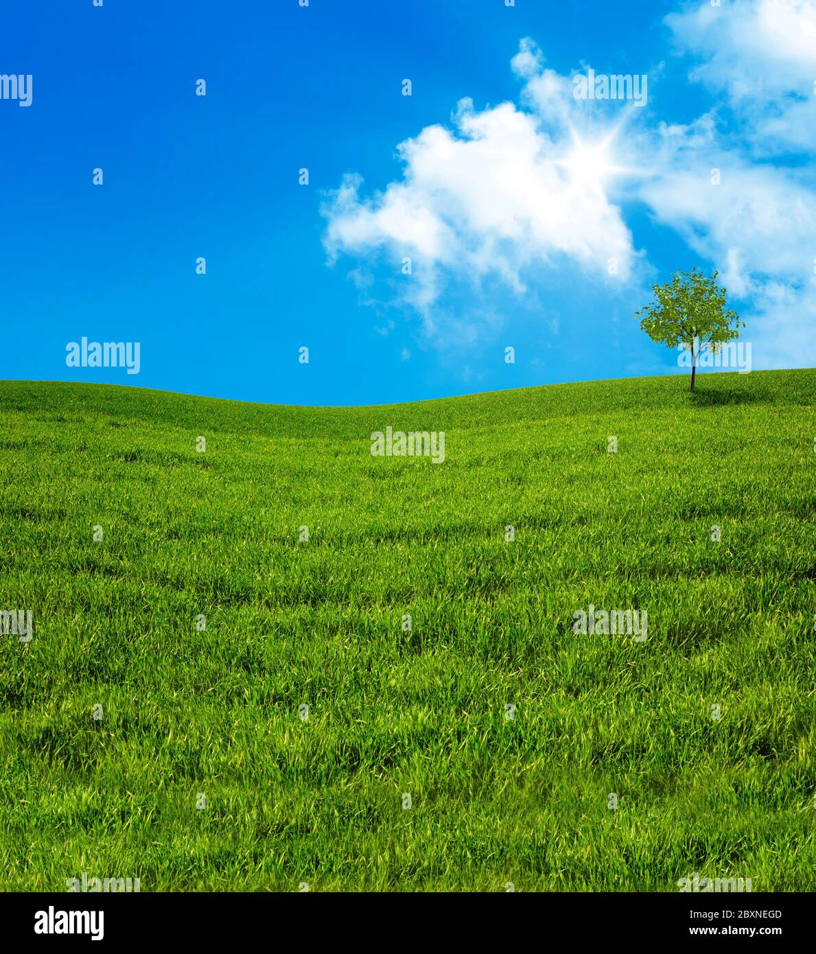 cielo pieno di sole Foto Stock