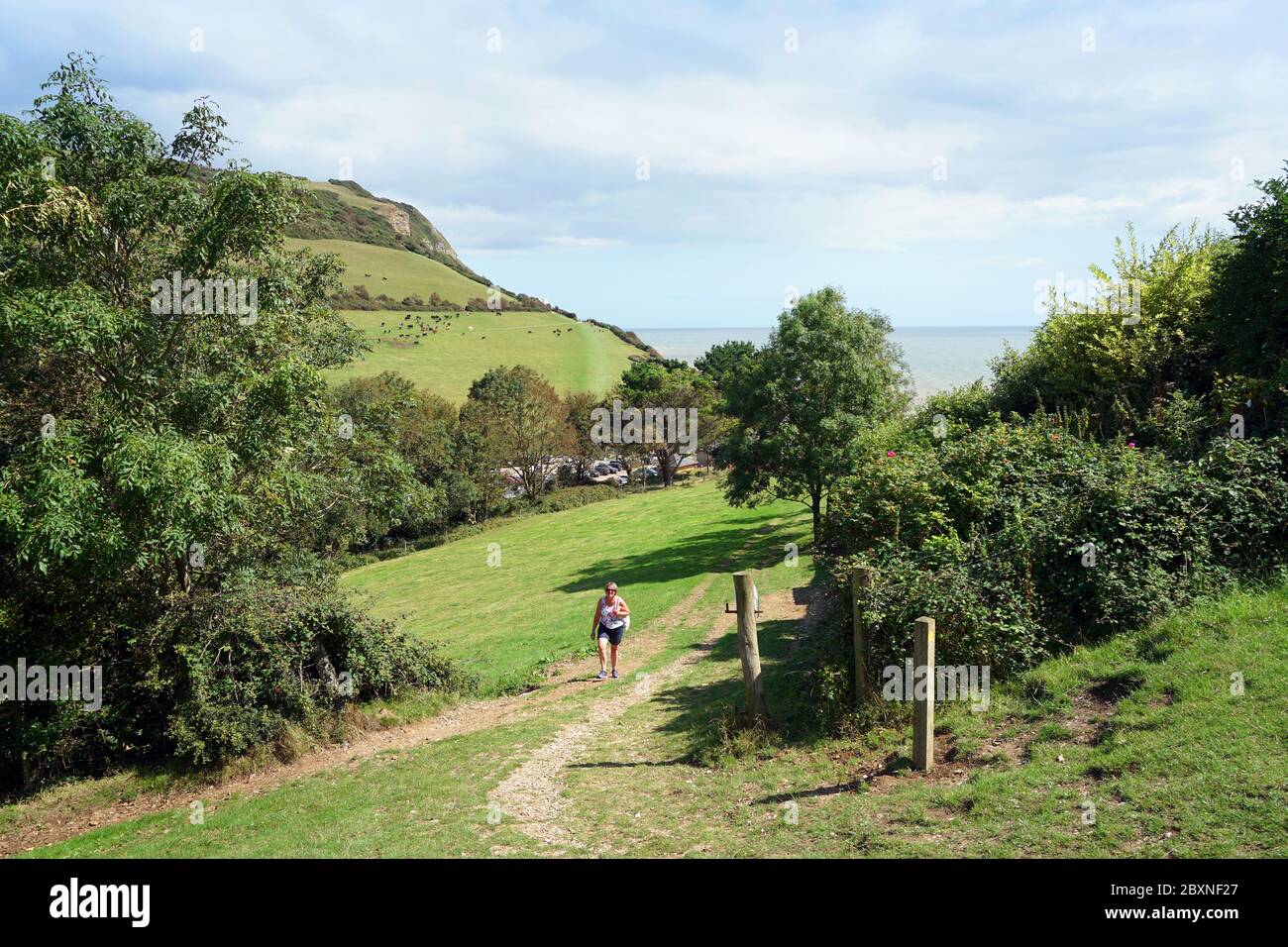 Branscombe Dorset Foto Stock
