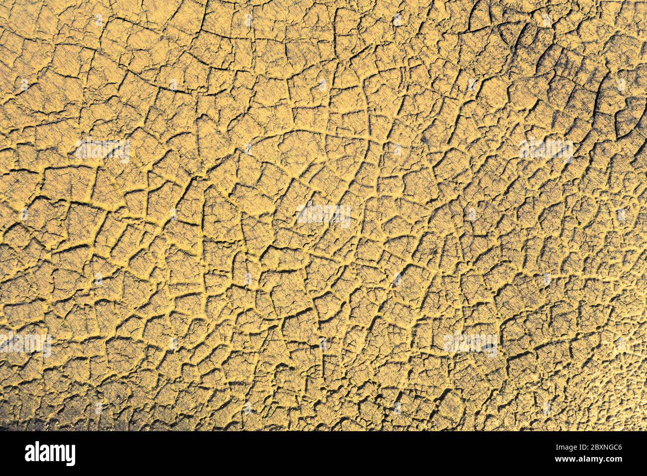 Terra cracked dalla siccità. Foto Stock