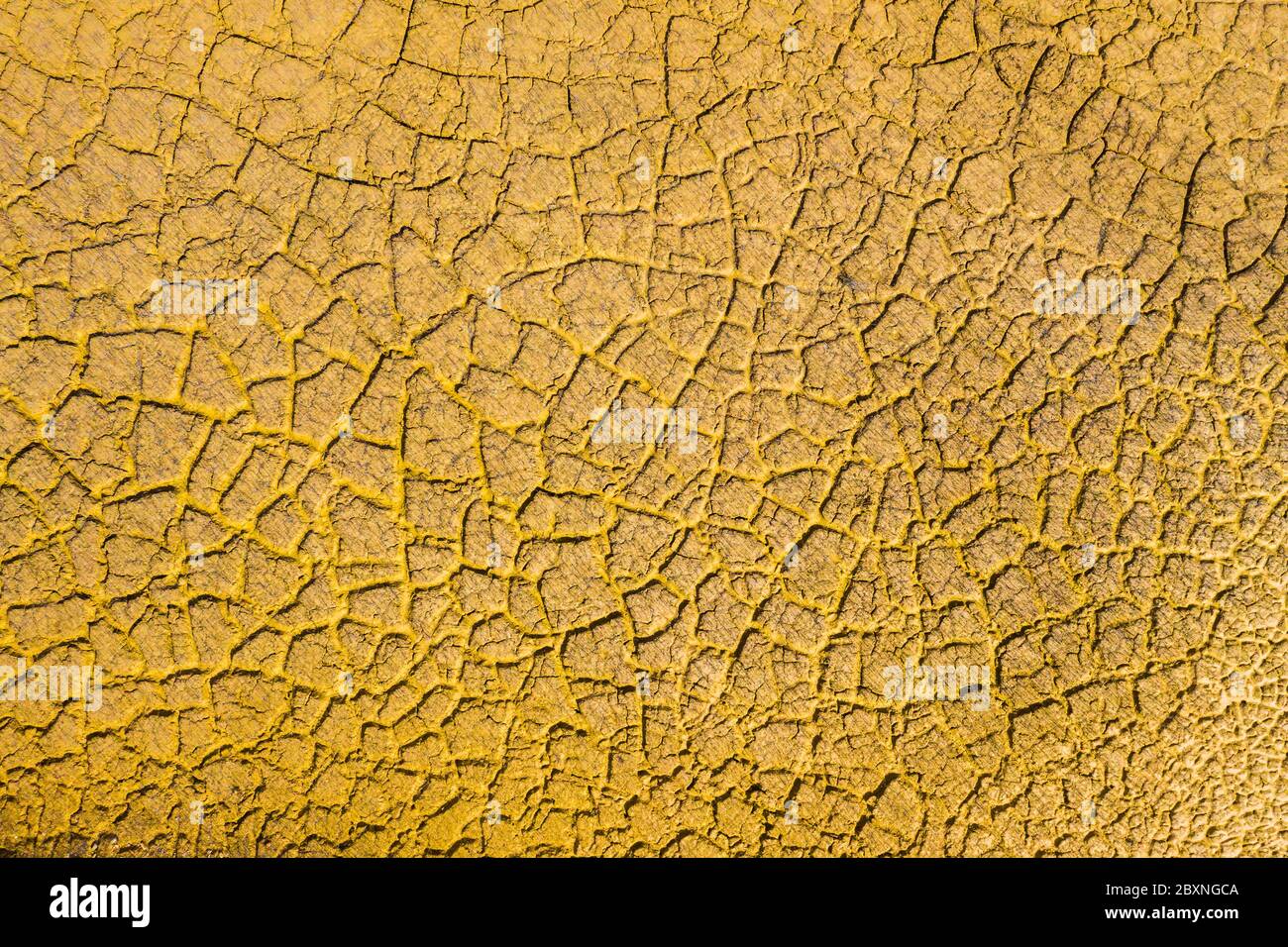 Terra cracked dalla siccità. Foto Stock