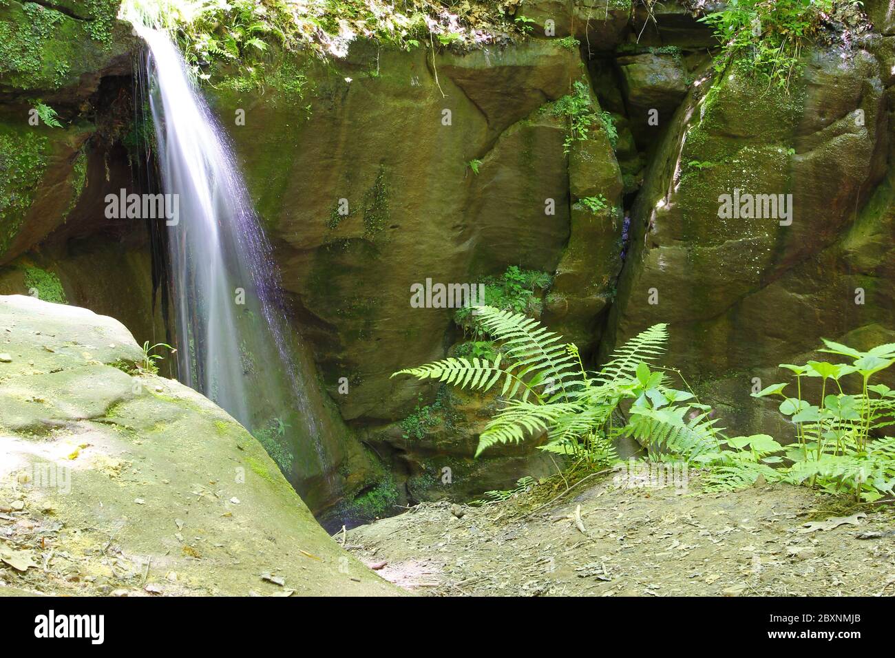Cascate di Little Lyons, Mohican state Park, Ohio Foto Stock
