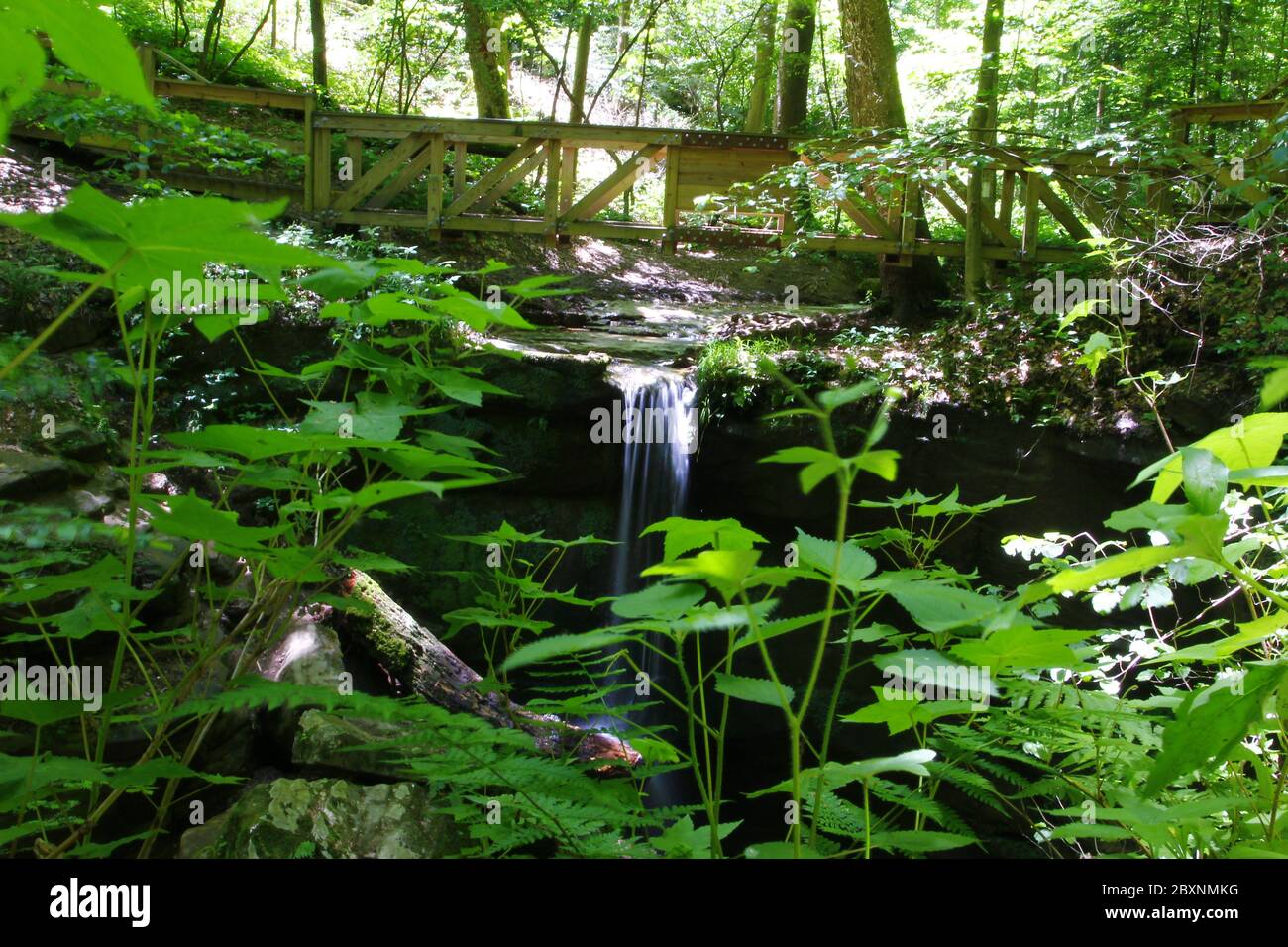 Cascate di Little Lyons, Mohican state Park, Ohio Foto Stock