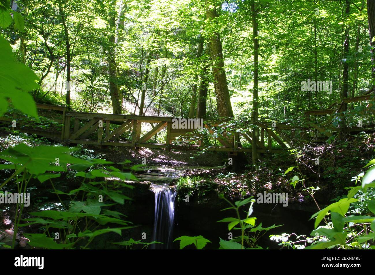 Cascate di Little Lyons, Mohican state Park, Ohio Foto Stock