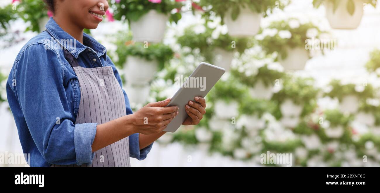 Lavorare sul concetto di azienda agricola. Agricoltore che controlla la qualità serra con compressa Foto Stock