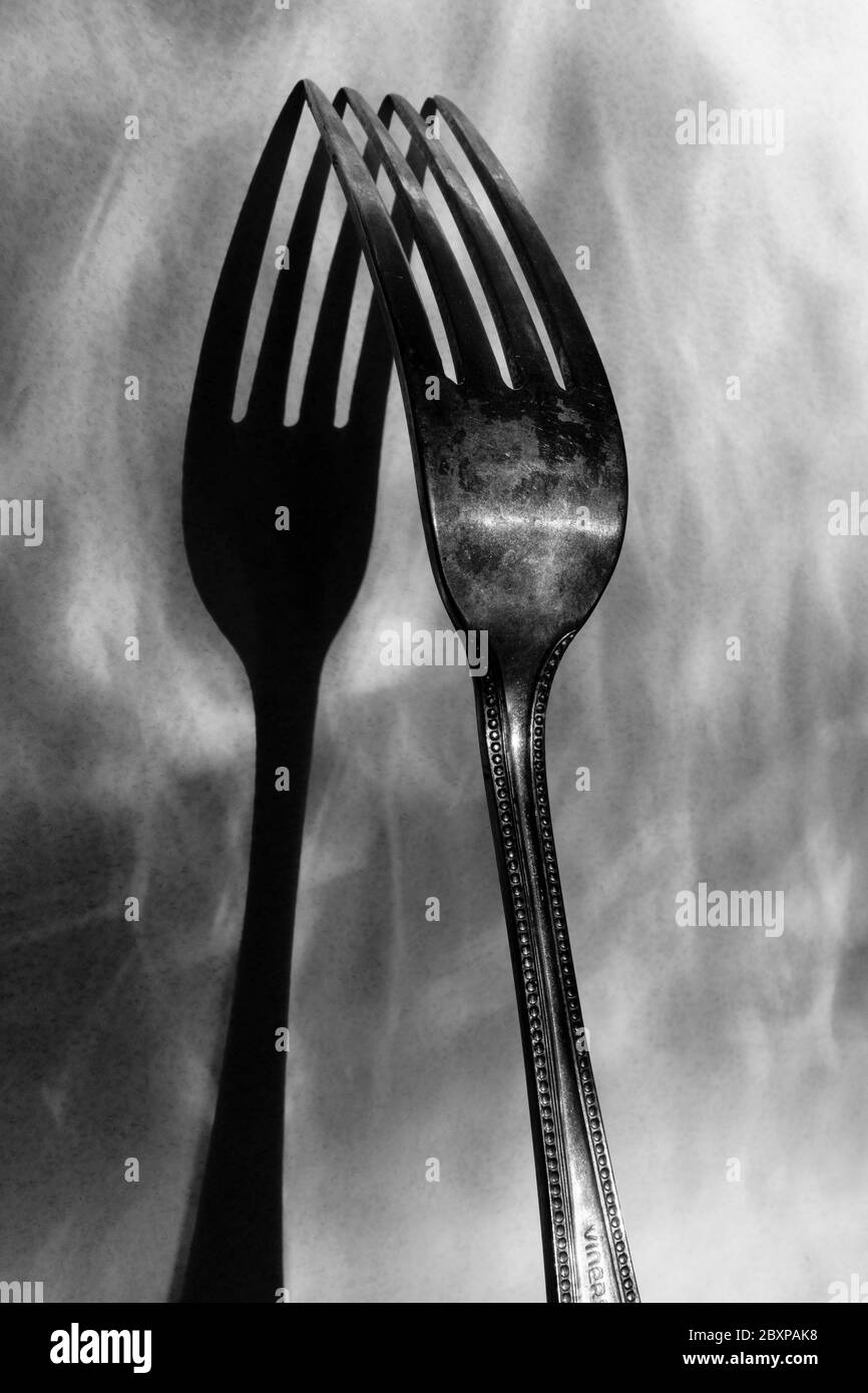 Fotografia in bianco e nero: Immagine di una forchetta da pranzo e ombra nello stile della fotografia modernista del XX secolo. Foto Stock