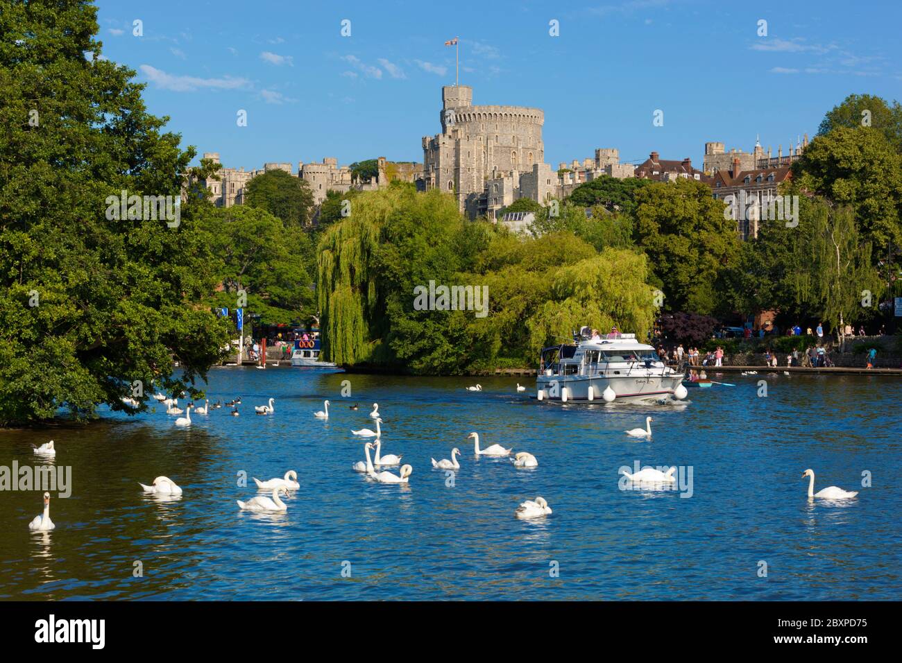 Il Tamigi e il Castello di Windsor, Windsor, Berkshire, Inghilterra, Regno Unito, Europa Foto Stock