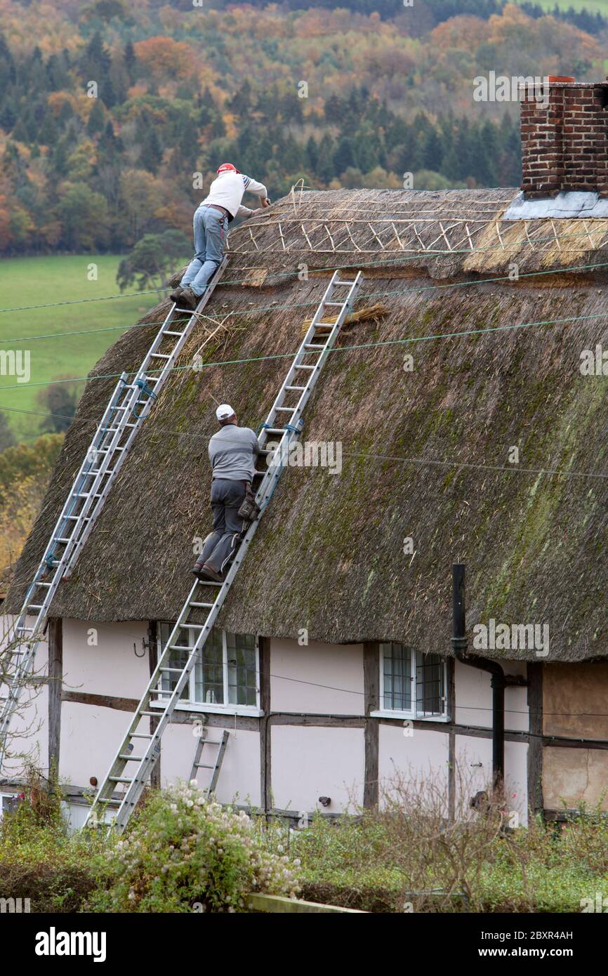 Re-thatching un nuovo tetto di cottage, Burwash, Sussex orientale, Inghilterra, Regno Unito Foto Stock
