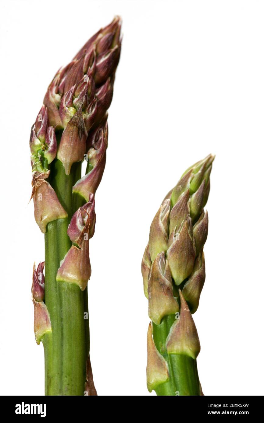 Gli asparagi Spears Foto Stock