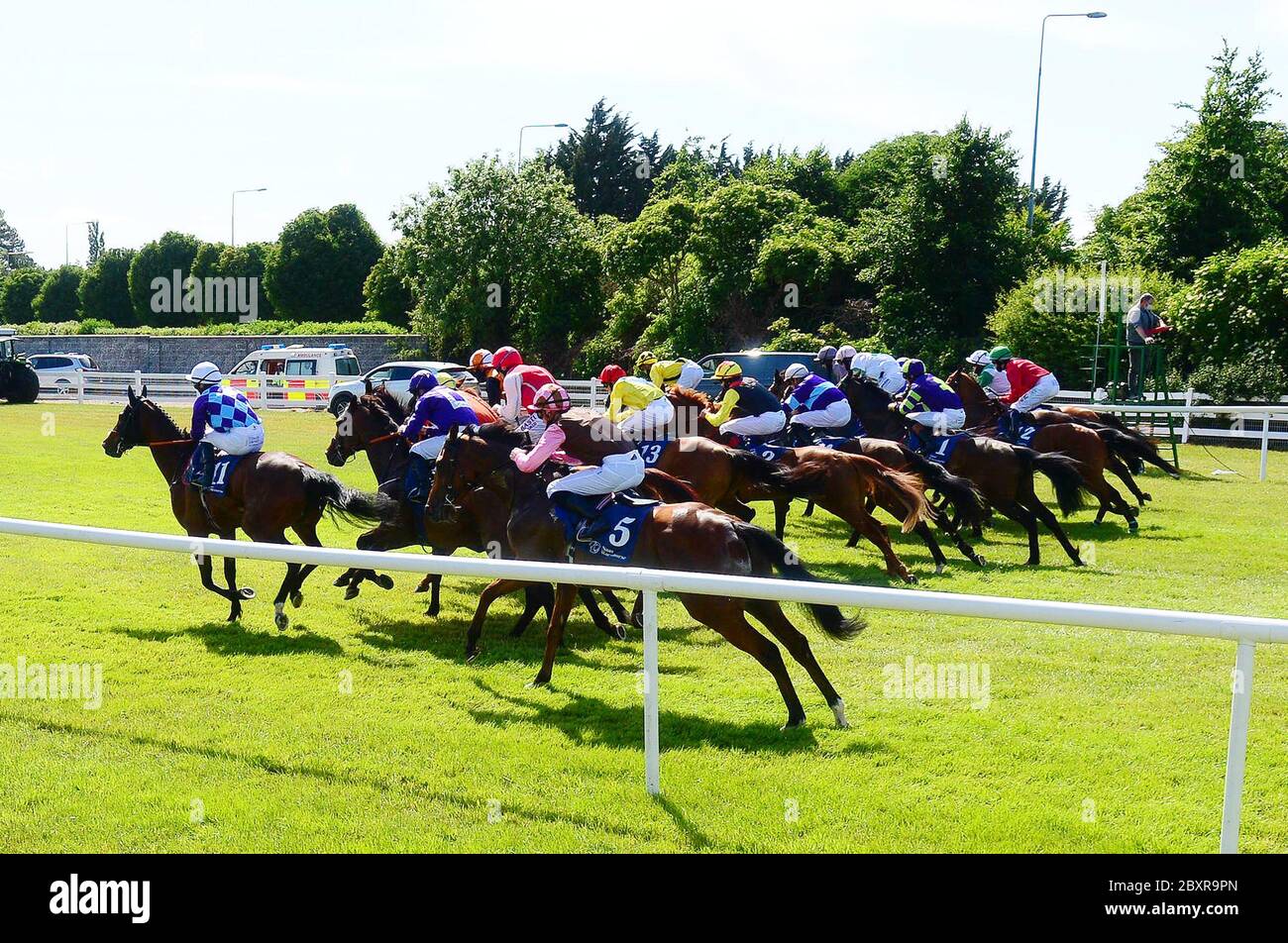 Cavalli e scimini all'inizio della Clinton Higgins Chartered Accountants handicap a Naas Racecourse, Co. Kildare, Irlanda. Foto Stock