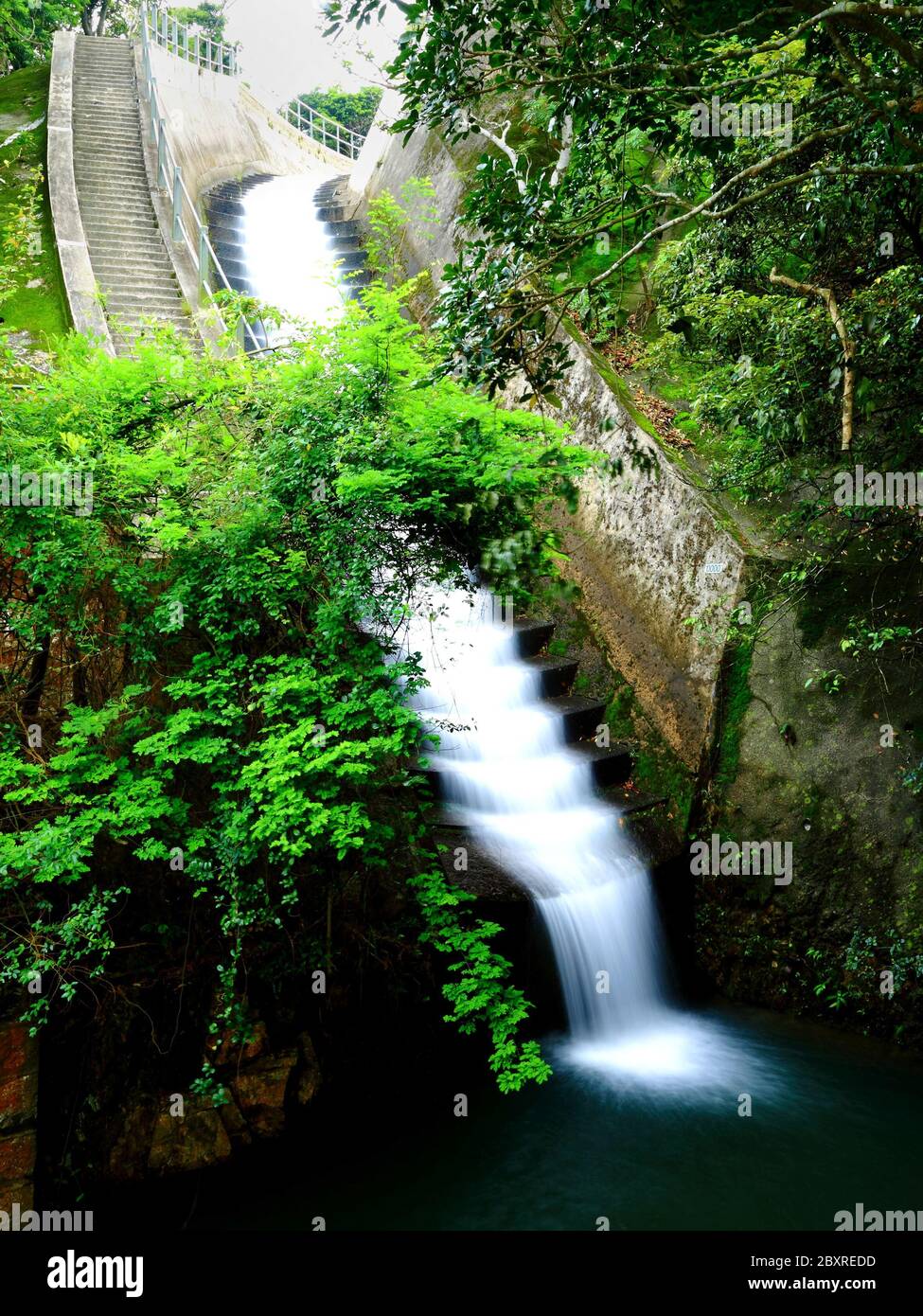 canale di acqua di catchwater con piante Foto Stock